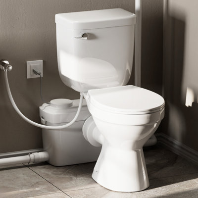 MaceratingFlo 600W Upflush Toilet For Basement, 16.5" Toilet Bowl, Included Two Extension Pipes