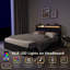 Structure de lit double, tête de lit avec station de charge, solide et stable, sans bruit, aucun sommier requis, assemblage facile-2071640443-2071640445
