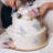 Animals Non-Wall Damaging Wall Decal-1574886706