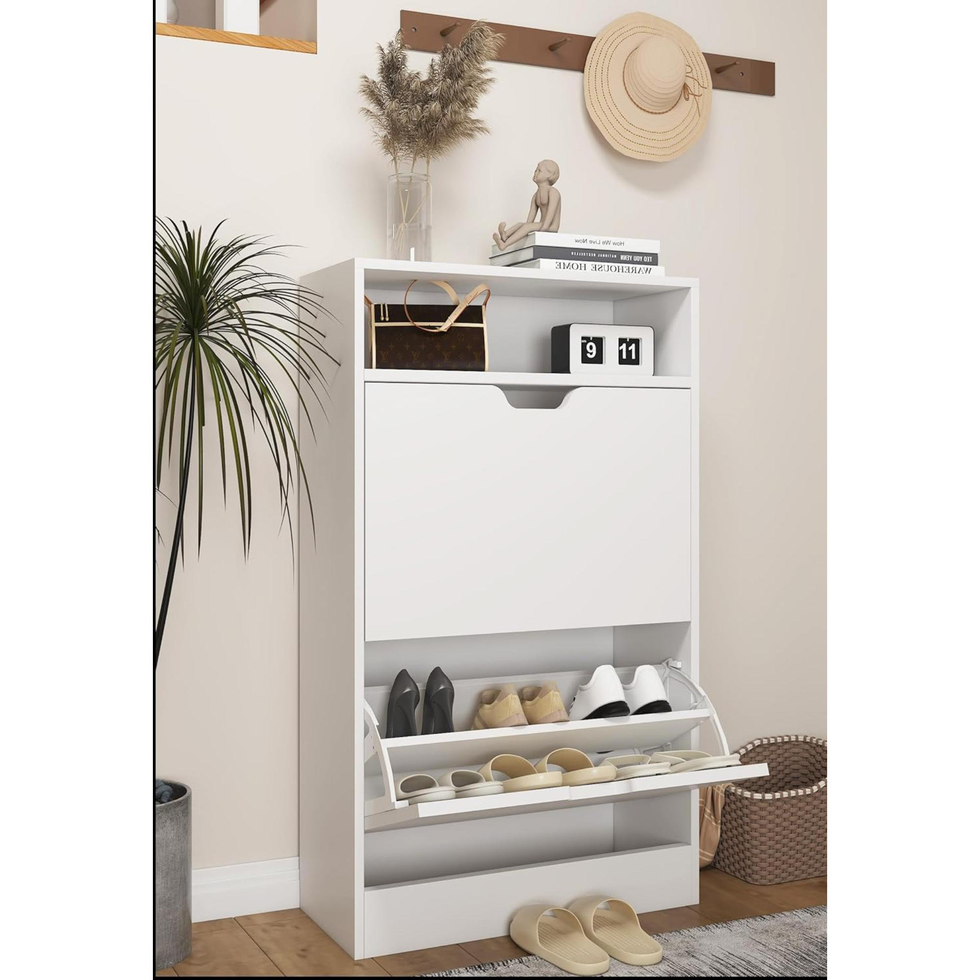 Ebern Designs Mandip Shoe Storage Cabinet | Wayfair