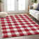 Colzie Checkered Indoor / Outdoor Rug