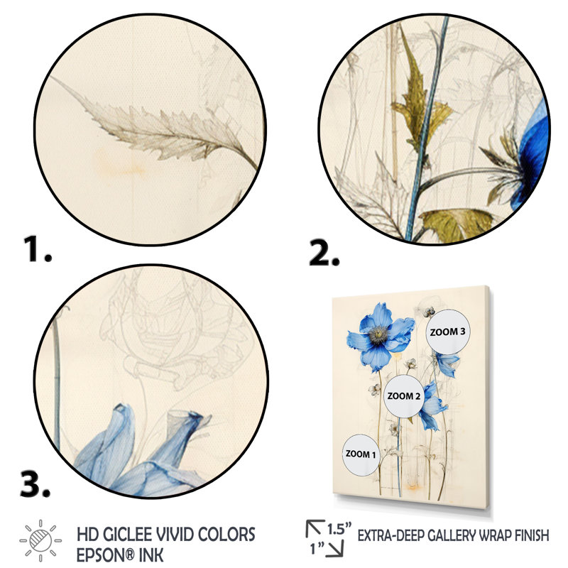 Illustration rétro de marguerite bleue encadrée sur toile, H 40 po x l 30 po, Cadre flottant doré