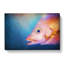 Pink Snapper Fish - Wrapped Canvas-55325386