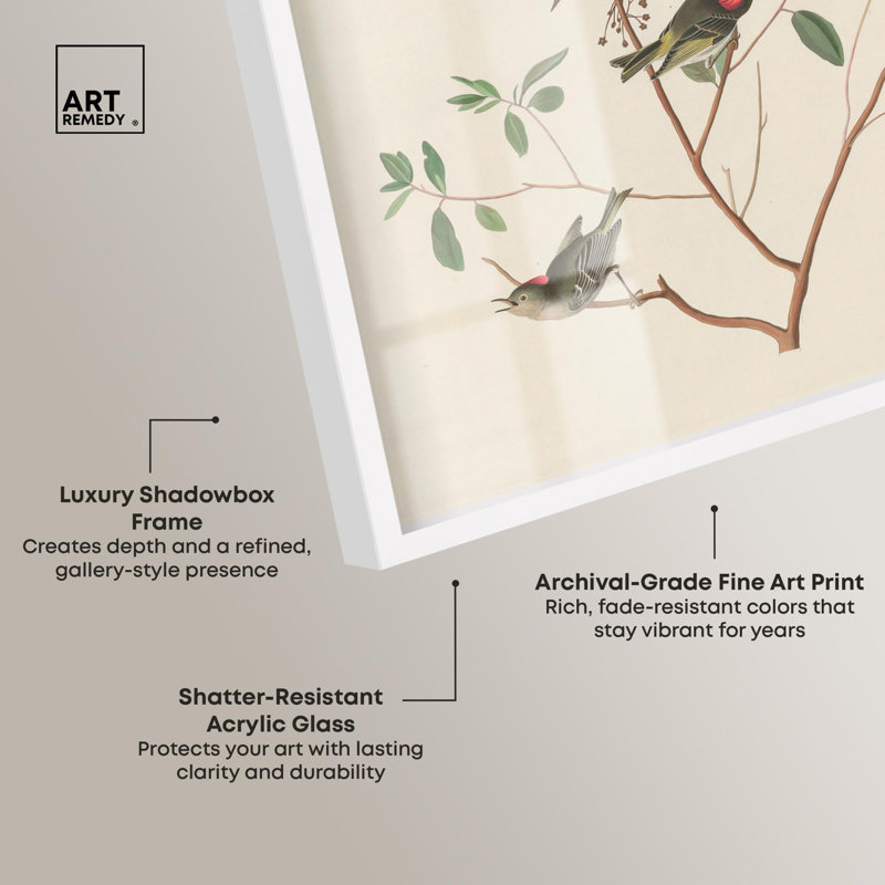 «Mountain Laurel Shadowbox Print» par Art Remedy, H 31 po x l 21 po, Blanc