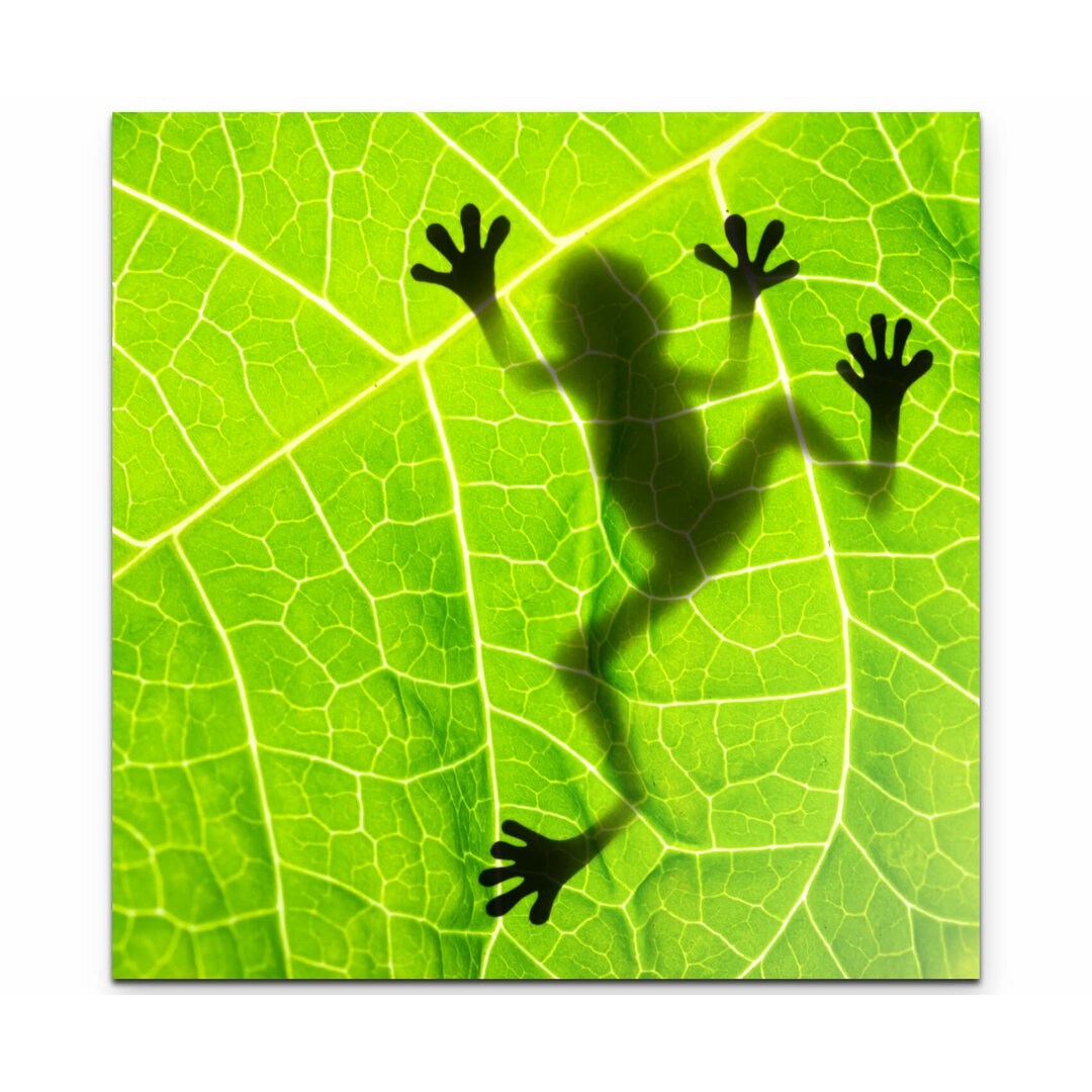 Leinwandbild Froschschatten auf einem Blatt