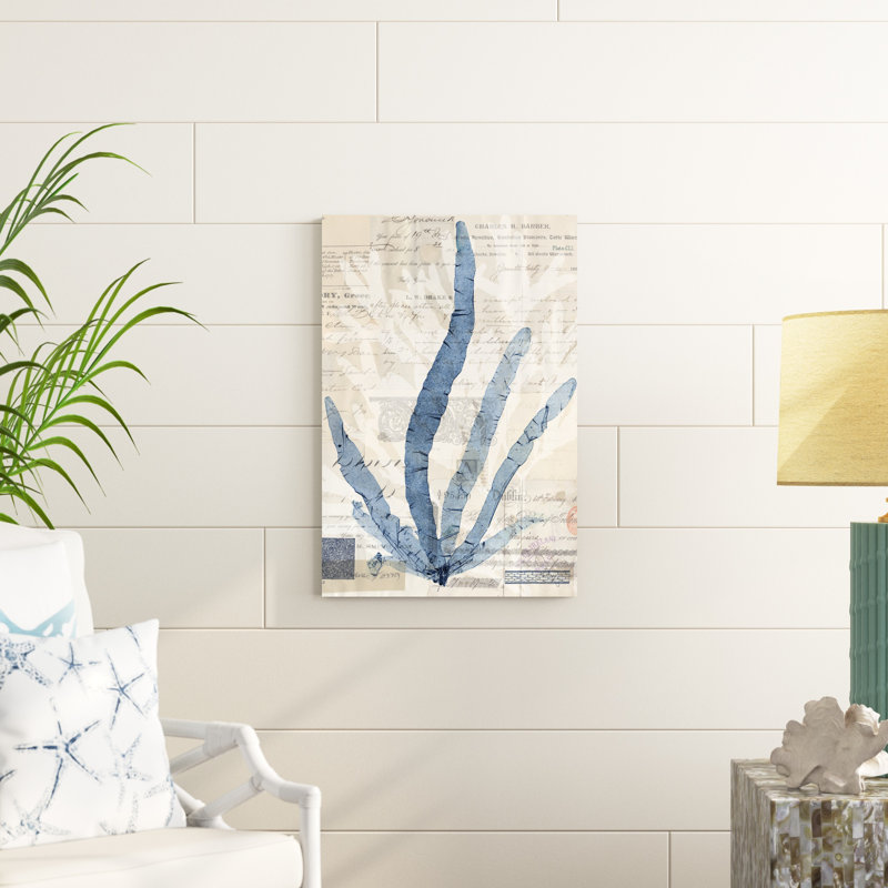 «Seaweed Arrangement II» par Vision Studio - impression sur toile tendue, H 30 po x l 20 po x P 1,25 po