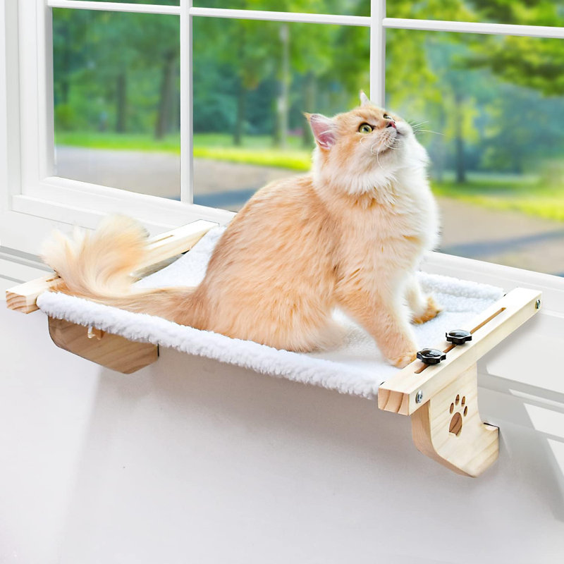 Siège de fenêtre robuste pour chat avec fenêtre en bois et métal