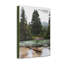 My Shield Ps 119:114 - Wrapped Canvas Print-1000484213