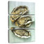 Oyster Shell