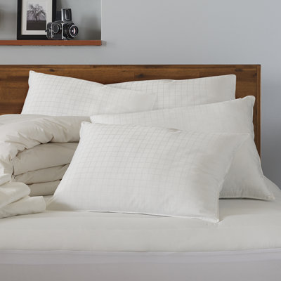 Exquisite Hotel Cotton Windowpane Pillow, Firm Density