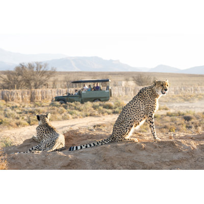 Guépards repérés sur un safari par Wanderluster