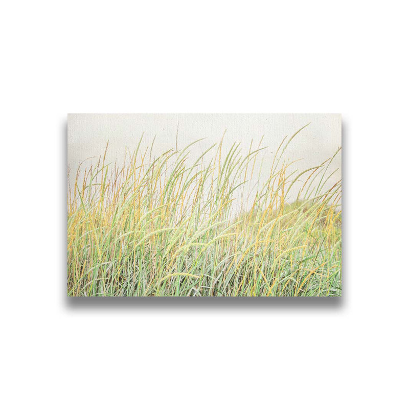 Dans l'herbe par Hal Halli. Estampe numérique, H 40 po x l 60 po, Toile tendue, Ne s’applique pas