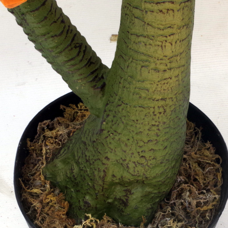 Anlin 110cm Faux Palm Tree in Pot