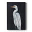 Calm Great Egret I - galerie sur mesure enveloppée Cavas-1552008580