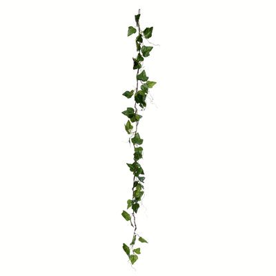 Leaf Arrangement