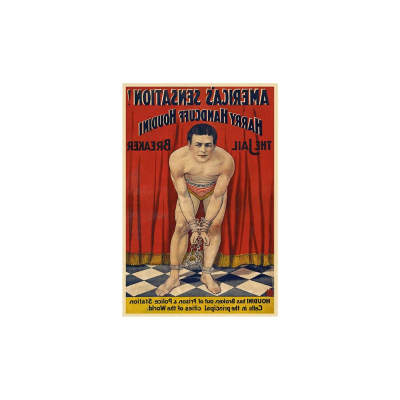 Art mural 24 po x 36 po Houdini, H 12 po x l 9 po x P 0,1 po