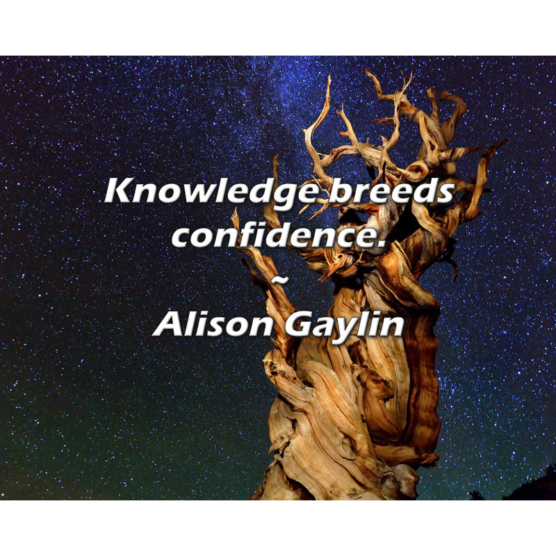 Alison Gaylin Citation: Le savoir engendre la confiance.