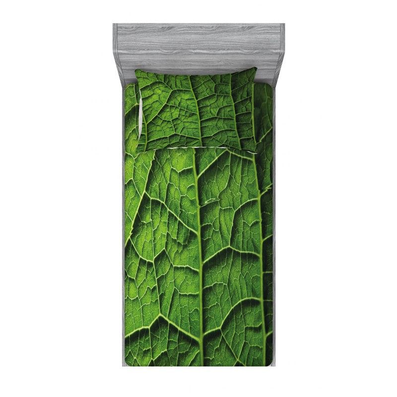 Ensemble de draps de forêt brésilienne exotique, Ensemble de draps pour lit simple TG avec drap-hou