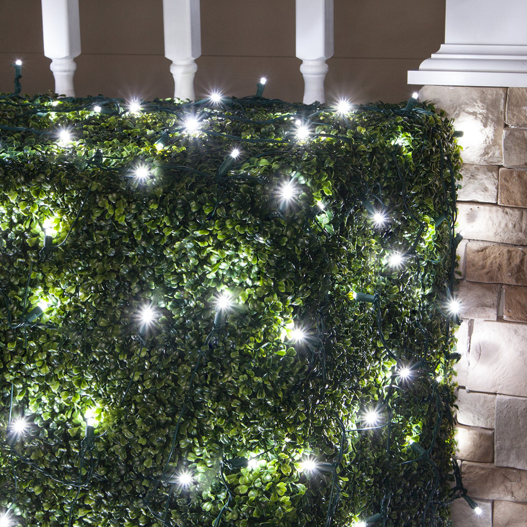 100 Lamps LED Christmas Twinkle Net Light The Holiday Aisle® 