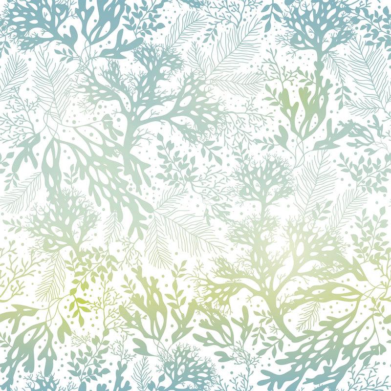 Raymer Nautical Removable Paintable Peel and Stick Wallpaper Panel, 126" L x 24" W
