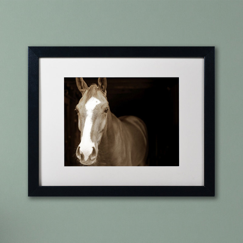 « cheval portrait », reproduction de photo sur toile encadrée, H 11 po x l 14 po x P 0,5 po