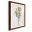 Farmhouse Pressed Flower II - peinture encadrée-1572627895-1572627888