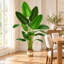 Plante artificielle oiseau de paradis avec feuilles de bananier pour la décoration intérieure et extérieure