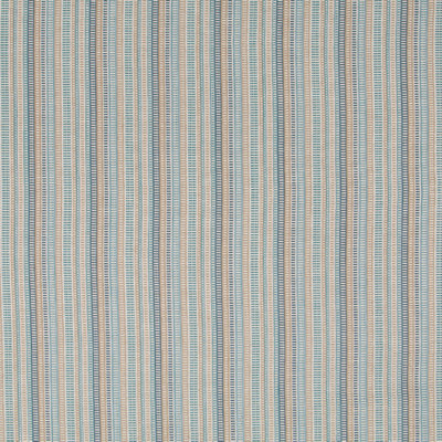 Festival Color Fabric