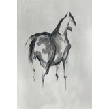 Gray Stallion II Print by Jacob Lincoln