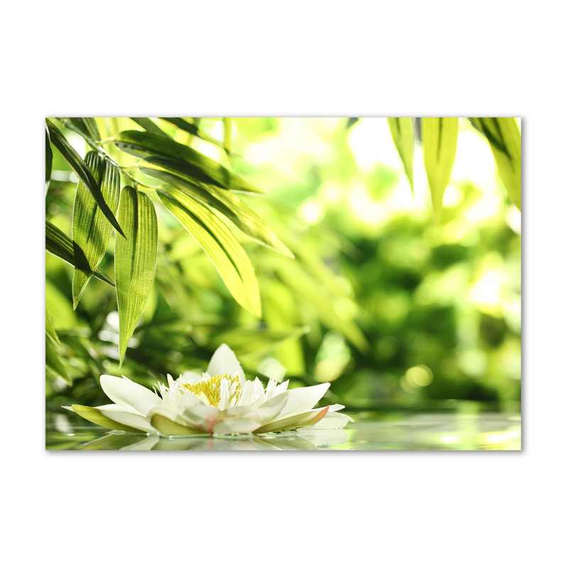 Water Lily - Wrapped Canvas Print