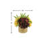 Assorted Hydrangea Arrangement In Round Pot