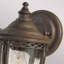 Thynes Bronze 33cm H Outdoor Wall Lantern-14715340