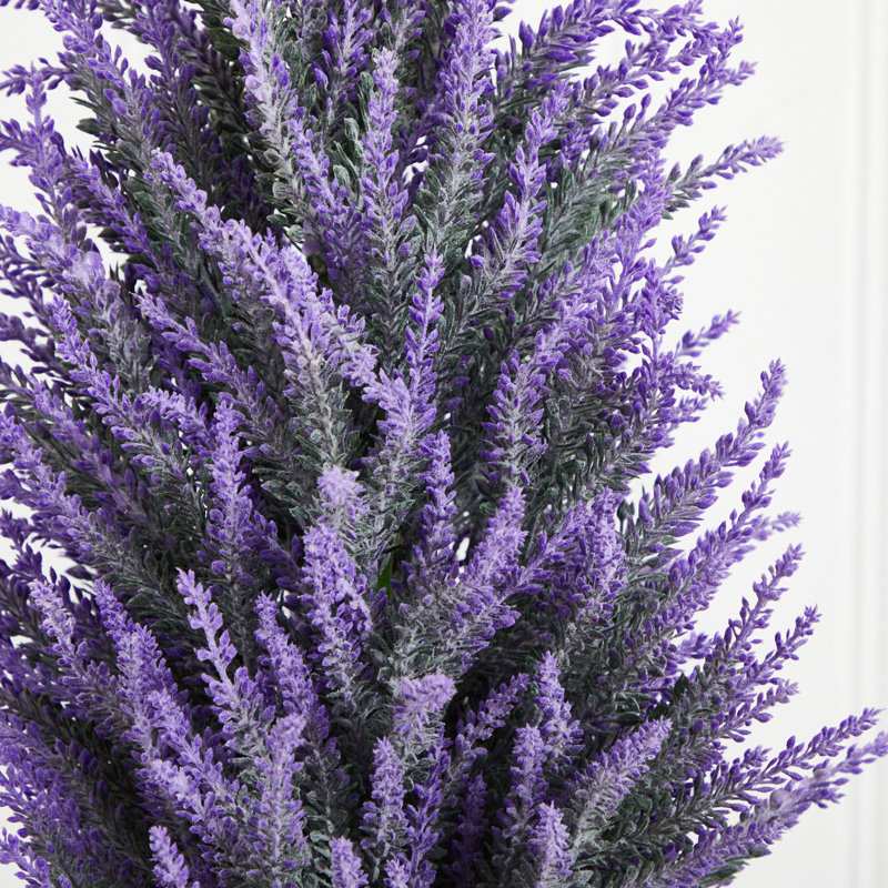 Lavender in White Planter