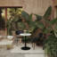 Ray LED Table Lamp-78574378
