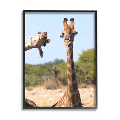«Ba-401», reproduction amusante de girafes encadrées sur bois par Brigitte Alcalay
