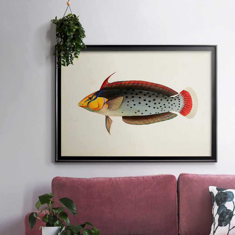 «Tropical Fish Collection IV», reproduction sur toile encadrée, Noir, H 30 po x l 44 po x P 1,5 po
