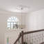 Ensemble d'anneaux de plafond coquille-88036065-88036061