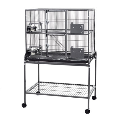 Widener Rat Cage
