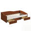 Upholstered Daybed Frame with 2 Storage Drawers, Soft Corduroy and Velvet Blend for Cozy Sleeping and Modern Aesthetics-905406835-905406833