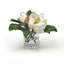 Magnolia In Vase