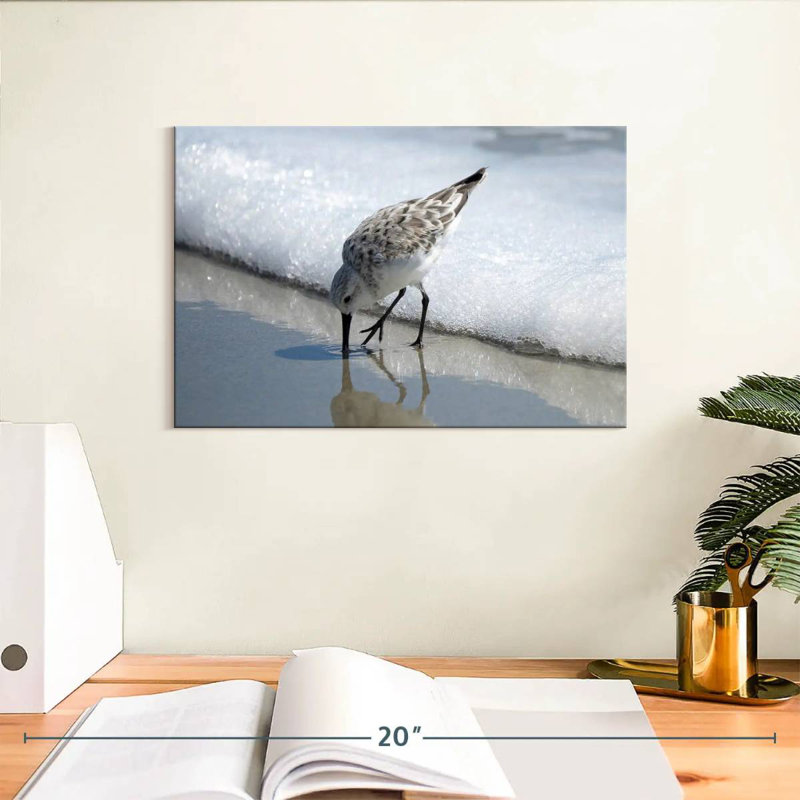 Sandpiper I, 8" H x 12" W