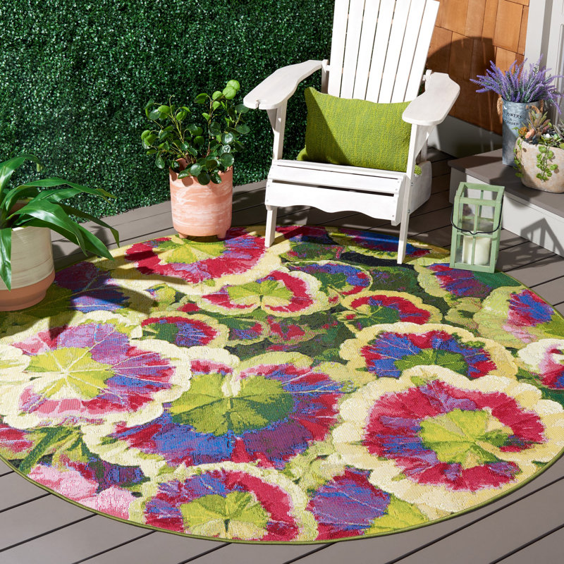 Tapis noir / vert / mauve en polypropylène tissé à la machine Arainna Makenize, Rond 6 pi 6 po