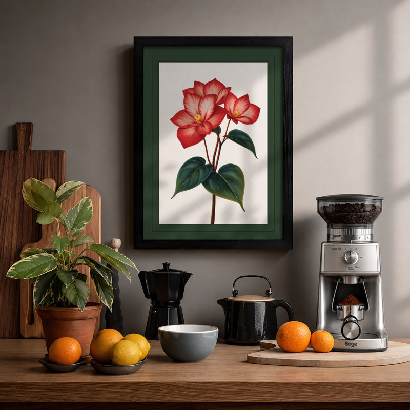 Single Rose In Bloom Botanical - Print, A1 - 84.1 x 59.4 cm, Black