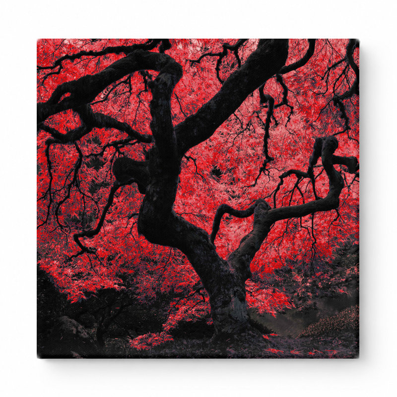Érable japonais rouge - art mural carré sur toile, 32" W x 32" H