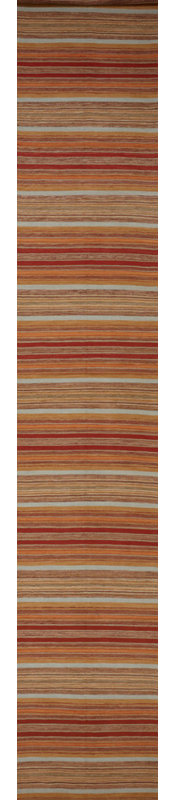 Striped Area Rug in Brown/Red
