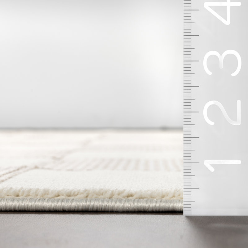 Zhuri Checkered Machine Washable Area Rug, Runner 2'8" x 8'