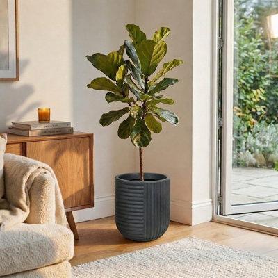 Johnmason ECOBO 13.4 inches Eco-Friendly Round Pot Planter, Linhas Indoor/Outdoor Four Season Use