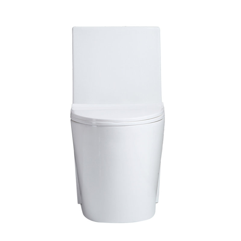 Small Compact One Piece Toilet Dual Flush