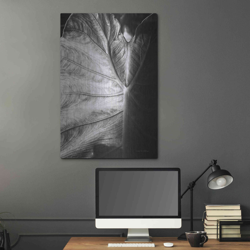 «Elephant Ear I» par Debra Van Swearingen, H 36 po x l 24 po