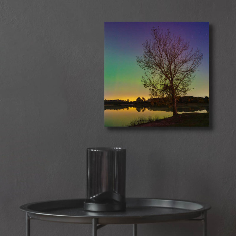  «Tree Under Aurora Borealis» par Epic Portfolio, art mural en verre acrylique, 12 po x 12 po